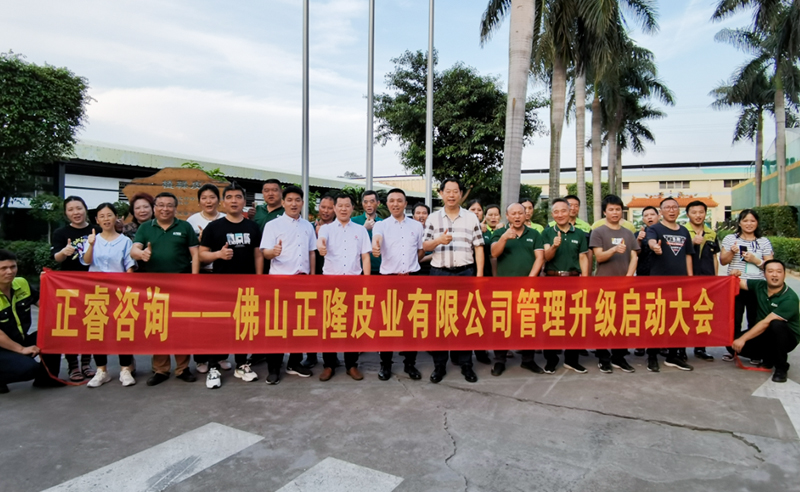 助力皮革行業(yè)再樹標(biāo)桿——正隆皮業(yè)全面管理升級(jí)項(xiàng)目啟動(dòng)！
