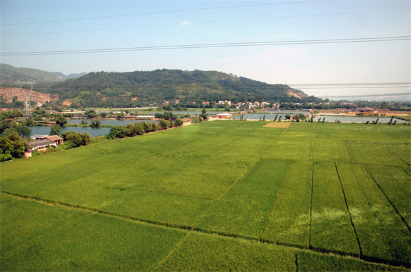 清遠(yuǎn)營銷咨詢公司如何精準(zhǔn)定位企業(yè)目標(biāo)市場？