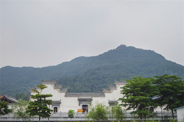 佛山組織規(guī)劃咨詢公司如何優(yōu)化企業(yè)人才梯隊建設？