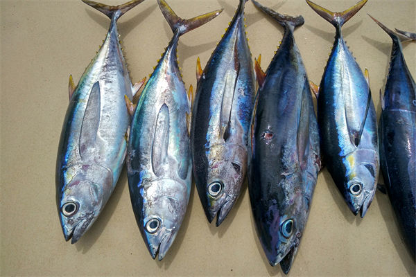 商務(wù)部：將幫助外貿(mào)企業(yè)擴寬內(nèi)銷渠道，政策解讀！