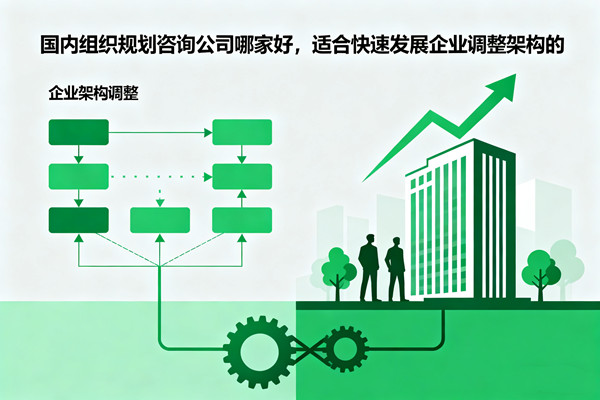 國(guó)內(nèi)組織規(guī)劃咨詢公司哪家好，適合快速發(fā)展企業(yè)調(diào)整架構(gòu)的