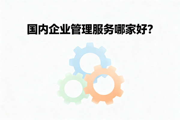 國(guó)內(nèi)企業(yè)管理服務(wù)哪家好？