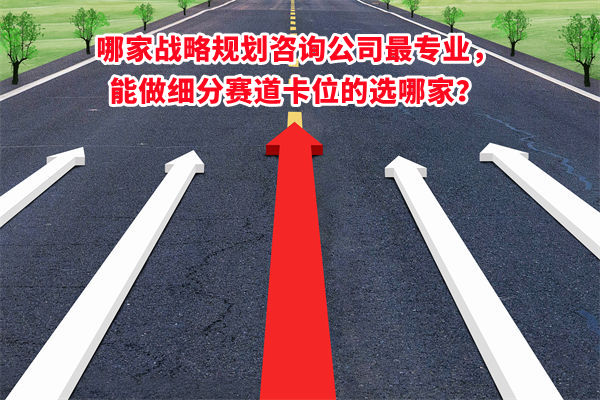 哪家戰(zhàn)略規(guī)劃咨詢公司最專業(yè)，能做細分賽道卡位的選哪家？